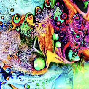 Acid Jungle