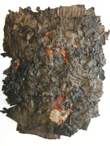 What the Fire Left Behind