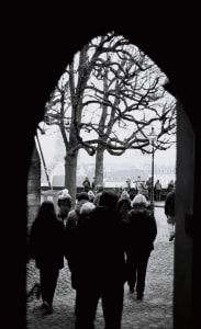 The Gathering of Trees and People