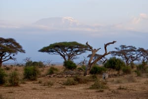Africa