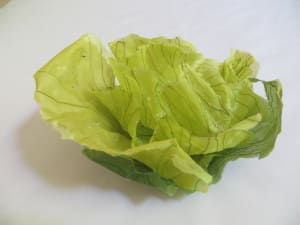 Iceberg Lettuce No. 2