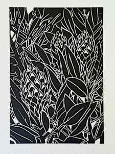 Proteas