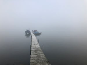 Morning Mist