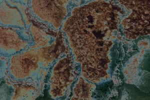 The Mysterious Surface