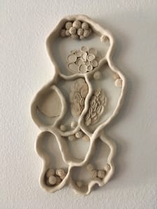 Cells Divided