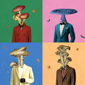 Mushrooman Portraits