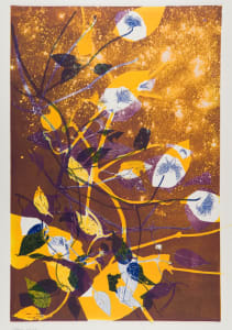 Starry Night (Joanna's)