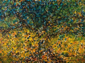 Solace 2/40