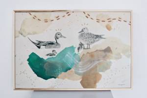 Northern Pintails Canvas Print