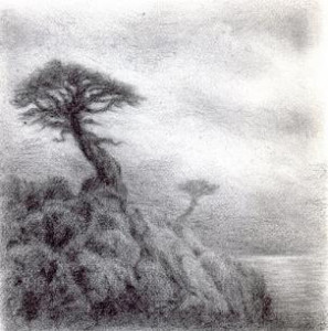 Coastal Pines