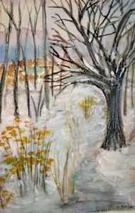 Ghost Tree by the path