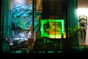 Santuarios Gestion Desmadres