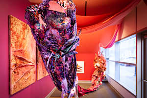 Iris Crepusculos y Pupilas Madrugadas