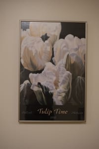 Tulip Time 2 1995