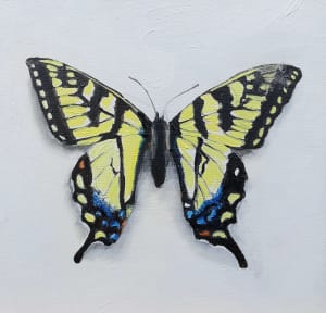 Small Yellow Swallowtail