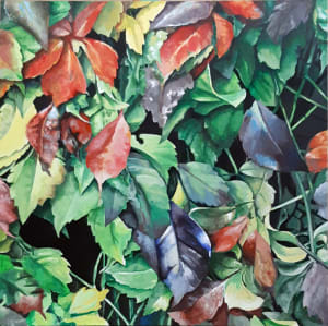 Ivy