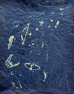 Great Upwelling Study 9