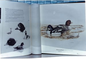 Ducks Unlimited Book, Limited Edition