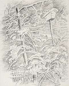 Untitled (Bird Feeder in Winter)