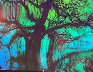 Terrible Tree