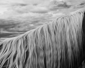 Mane and Sky #1