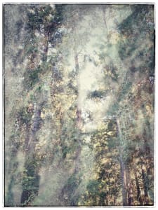 Alliances and Associations United