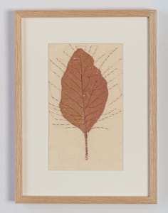Leaf on Calico