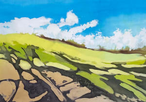 Downland Shadows