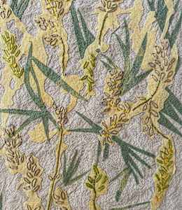 Fragrant Bedstraw