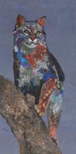"Pretty Kitty"       Eastern bobcat (Lynx rufus rufus)