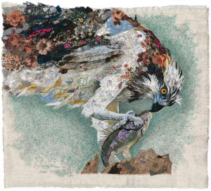 "Today's Catch"    Sea Hawk (Pandion haliaetus)