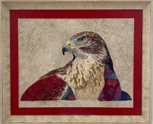 Hawkeye.  Ferruginous Hawk (Buteo regalis)