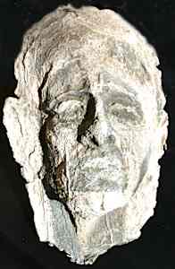 Alan Life Mask   2