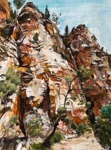 Brachina Gorge