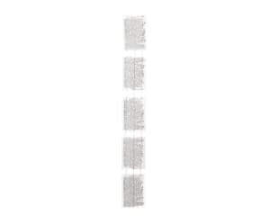 The Albrecht Letter