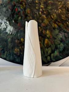 Nikau Series 2024  #2