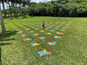 Extended Connections - Deering Estate
