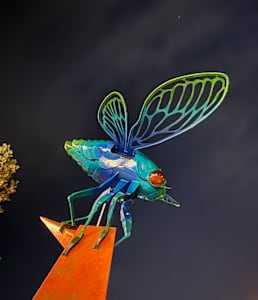 Cicadence