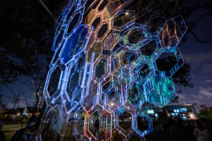 Alveare Luminoso (Glowing Hive)