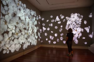 Studies for "Virtual Idylls"