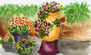 Teri’s Garden
