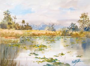 Lily Pads
