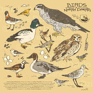 Birds of North Dakota