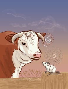 Bull and Mouse Chromosomes