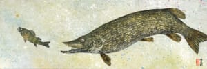 Pike and Perch 1
