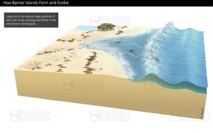 Cross-shore barrier island formation, panel 3