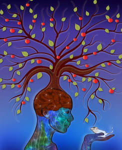 Hippocampal Neurogenesis Persists in Aging