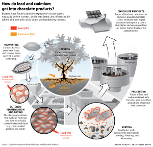 How do lead and cadmium get into chocolate products?