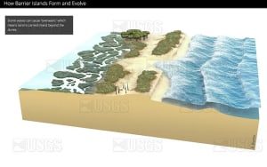 Cross-shore barrier island formation, panel 2