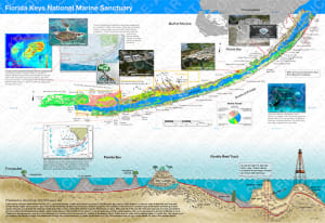 Shifting Baselines map/brochure: inside